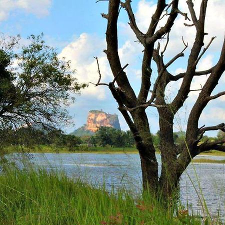 Rho Sigiriya Lake Edge Retreat Kibissa Luaran gambar