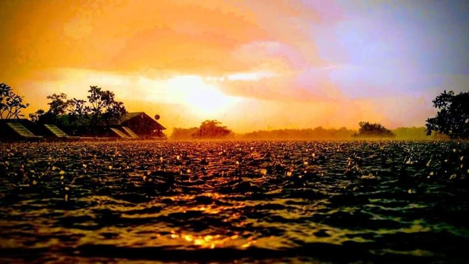 Rho Sigiriya Lake Edge Retreat Kibissa Luaran gambar