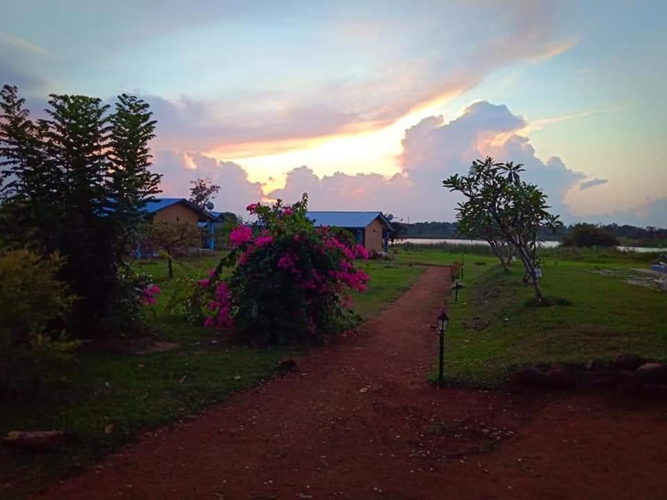 Rho Sigiriya Lake Edge Retreat Kibissa Luaran gambar