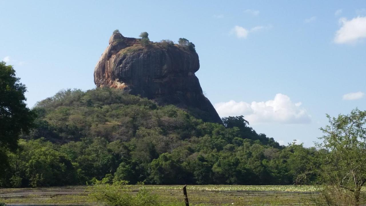 Rho Sigiriya Lake Edge Retreat Kibissa Luaran gambar