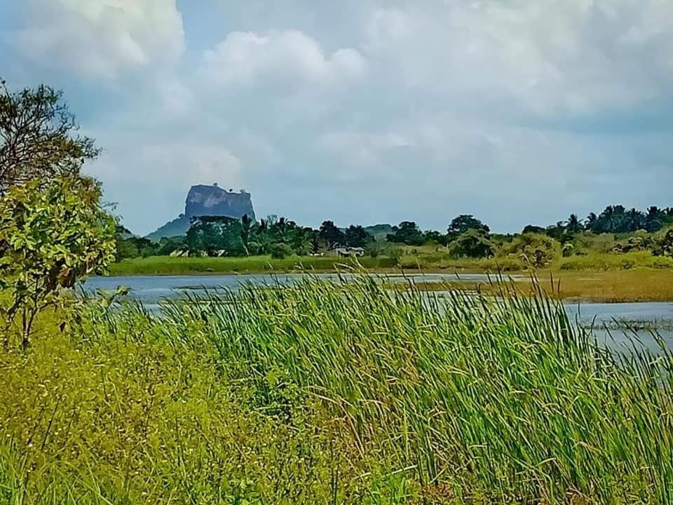 Rho Sigiriya Lake Edge Retreat Kibissa Luaran gambar