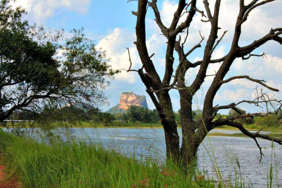 Rho Sigiriya Lake Edge Retreat Kibissa Luaran gambar