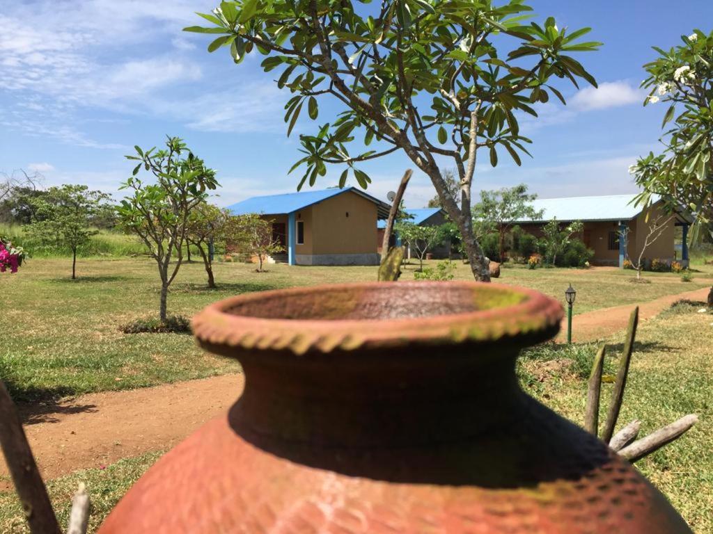 Rho Sigiriya Lake Edge Retreat Kibissa Luaran gambar